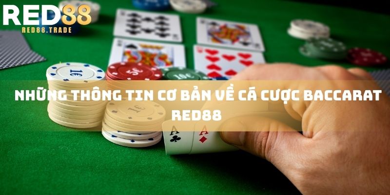 Những thông tin cơ bản về cá cược Baccarat R88